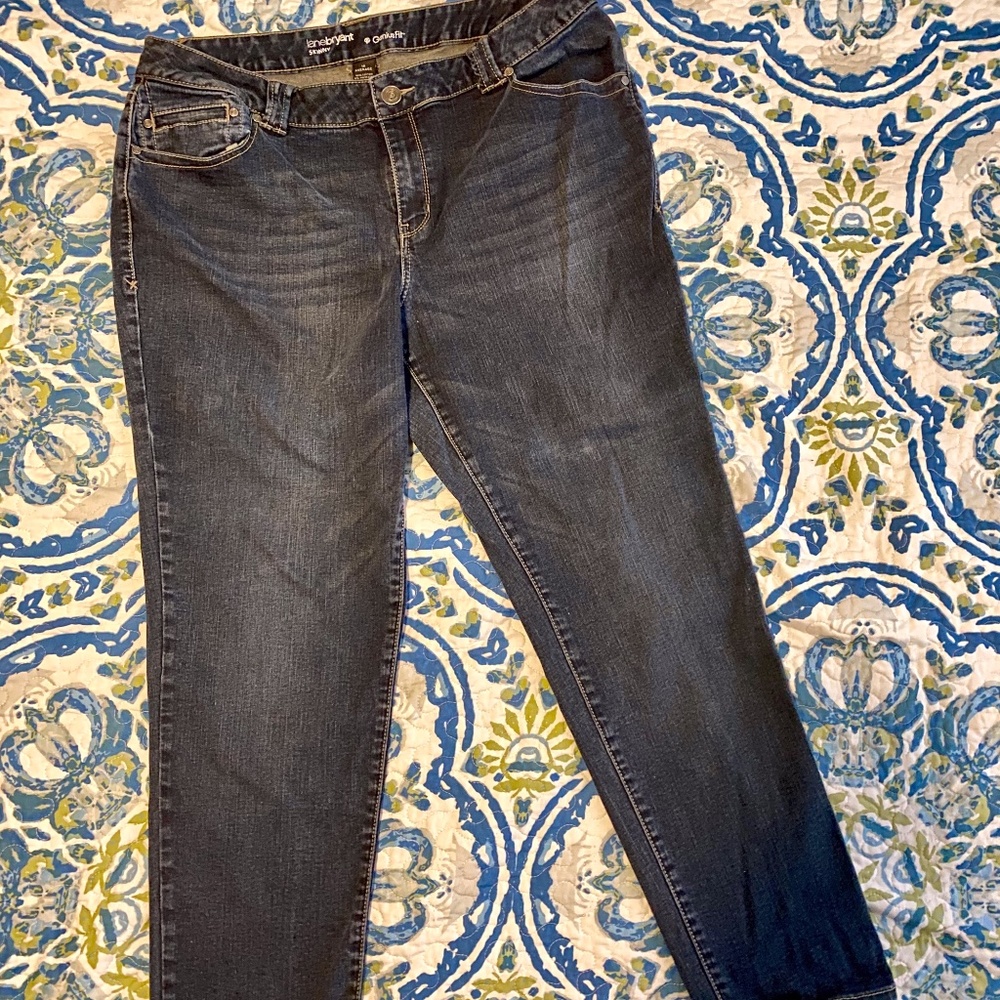 Lane Bryant Genius Fit Skinny Jeans